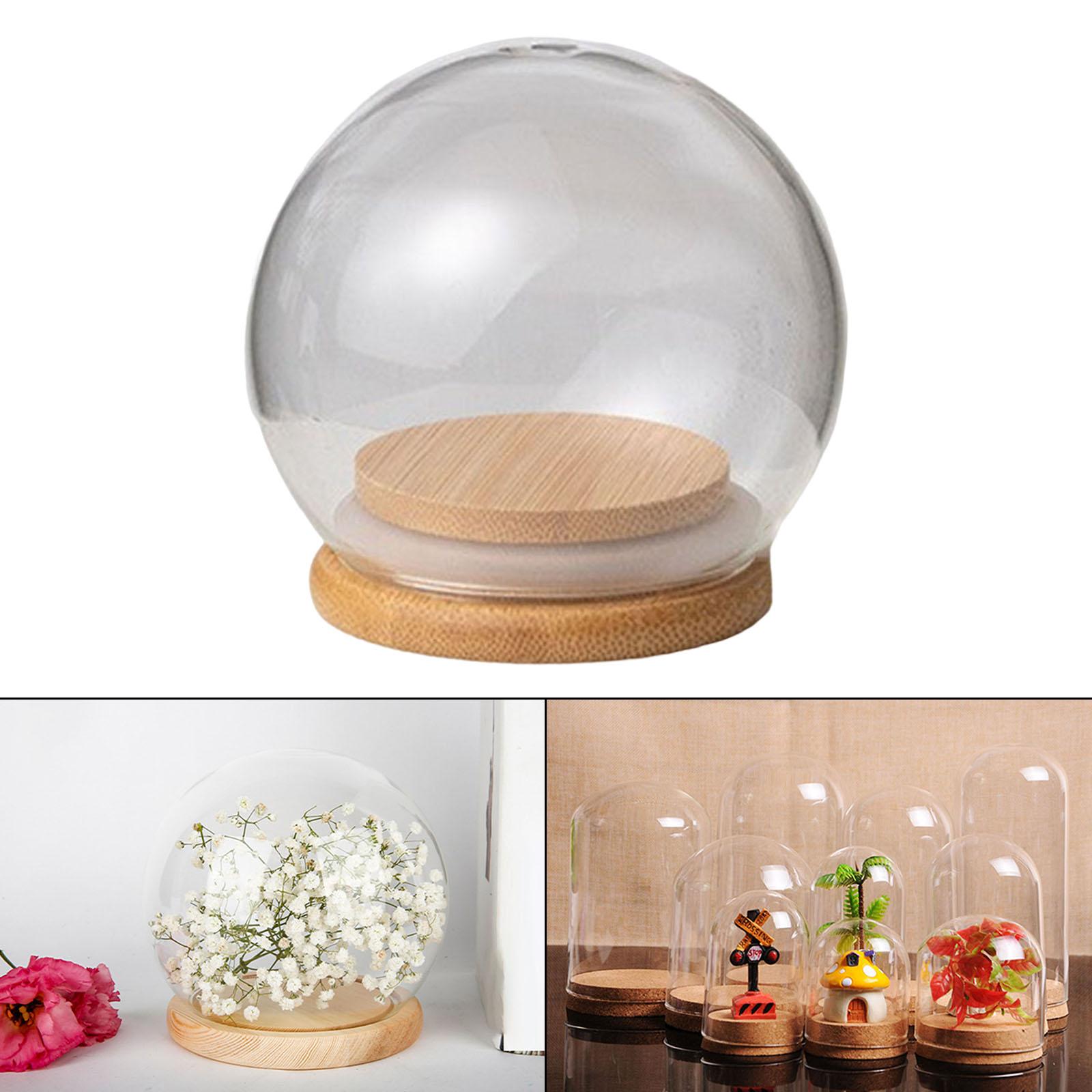 Clear Display Dome with Wooden Base Dustproof for Plant Office Counter Tops 8cm