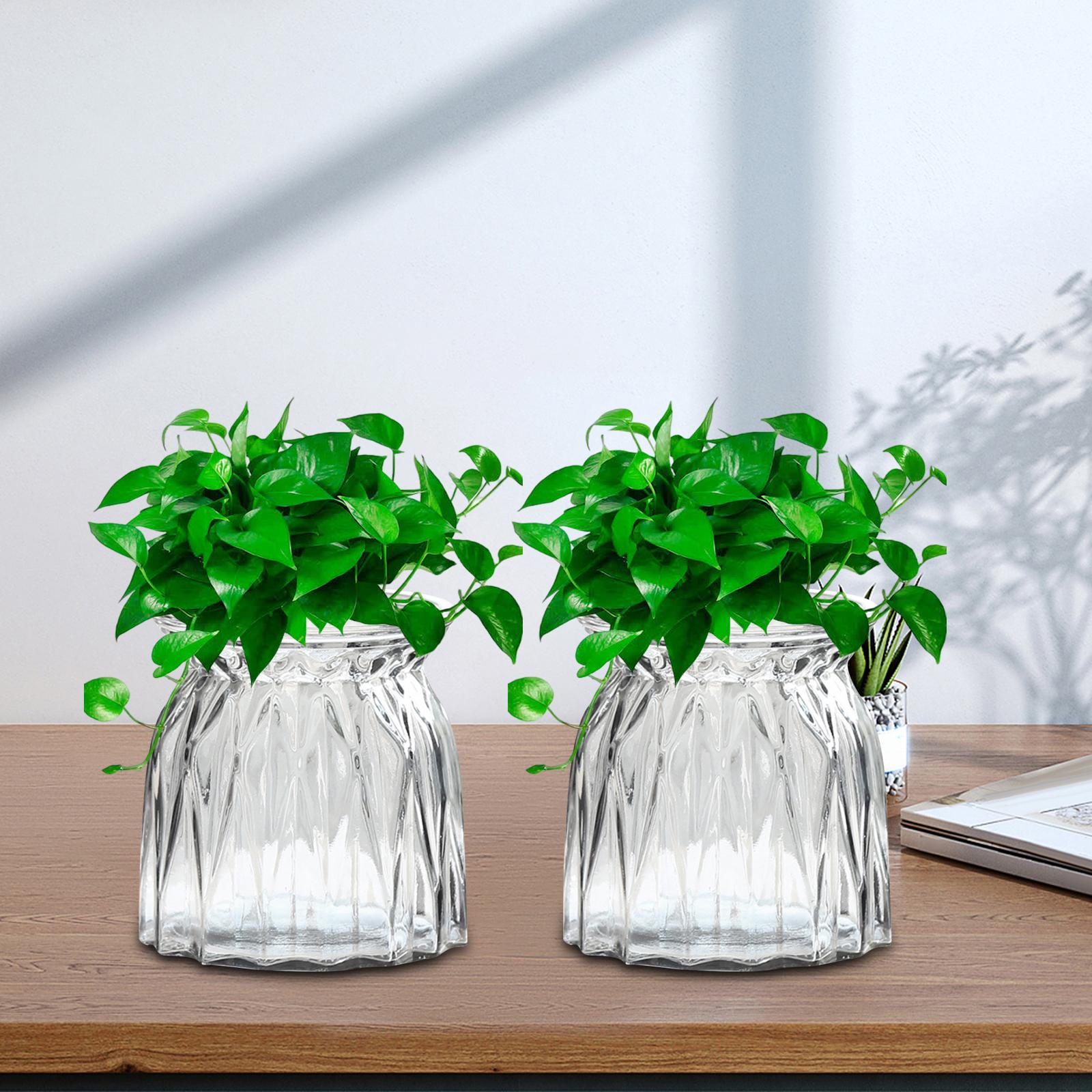 2x Glass Vase for Hydroponic Plant Hydroponic Pot for Shelf Farmhouse Office transparent