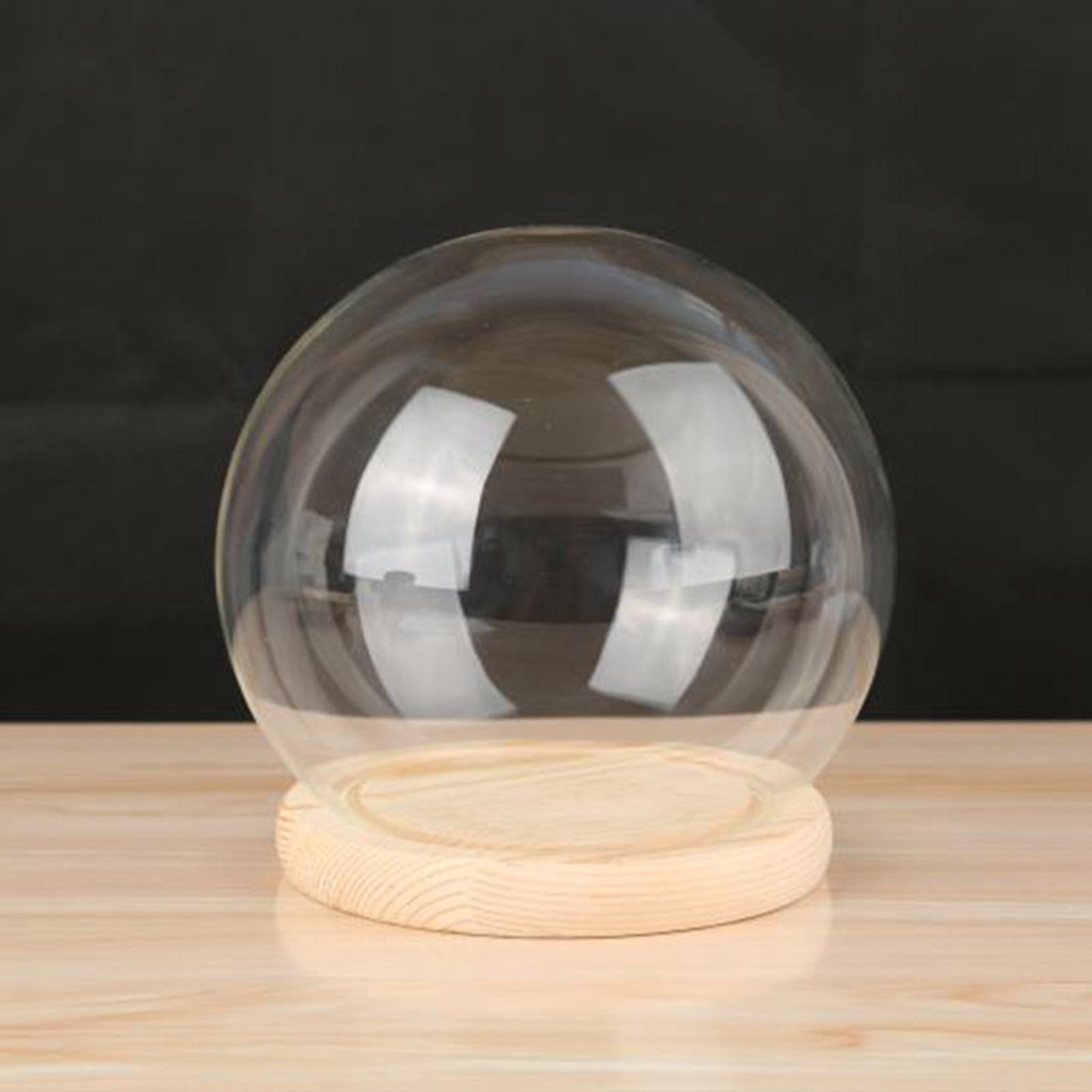 Display Dome with Base Transparent Showcase Glass Cover Container Glass Dome 12cm Wood Base
