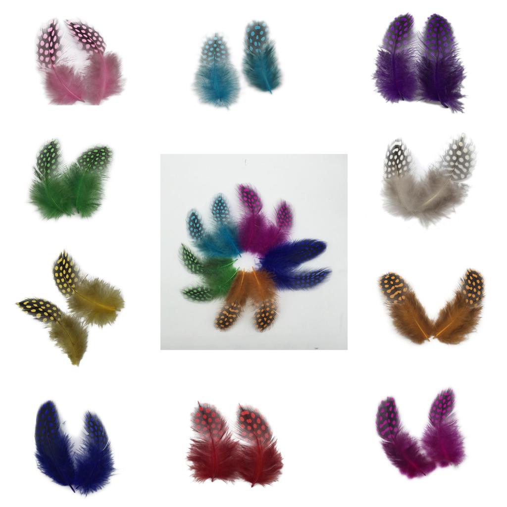 50PCS Lots Dyeing Guinea Hen Feather Chicken Feathers 5-10cm Nature