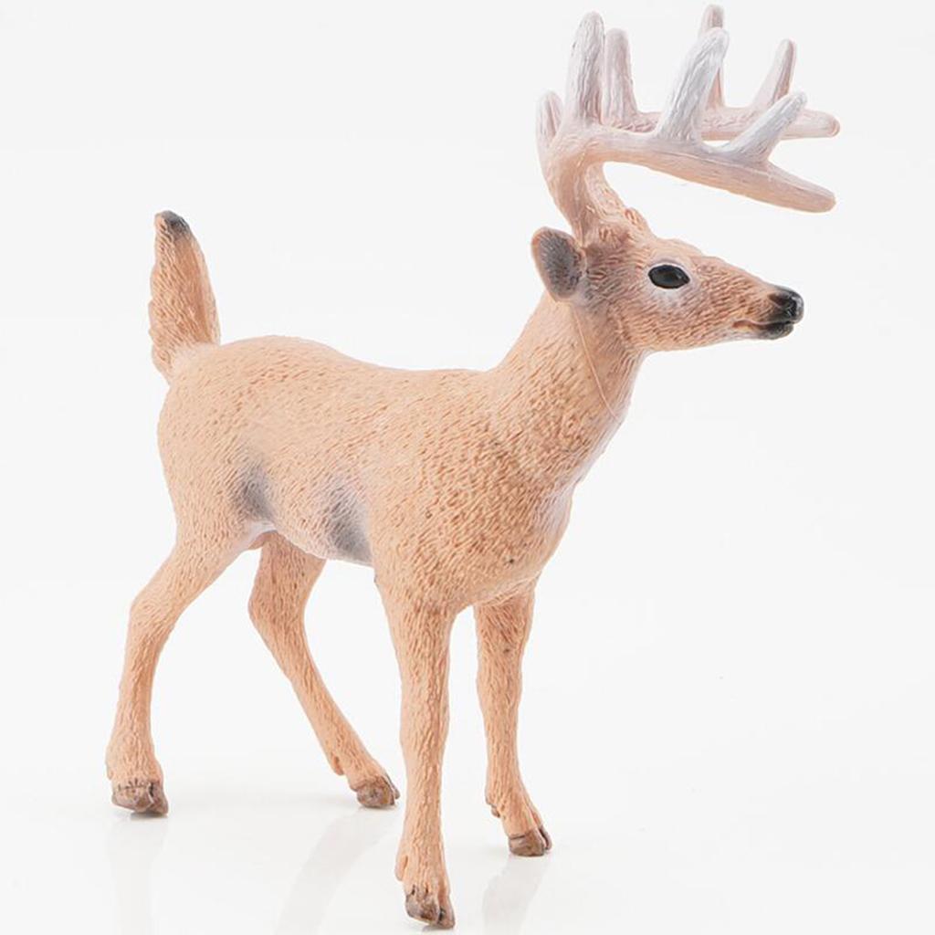 Stimulation Animal Figures Wild Animal Models Key Deer