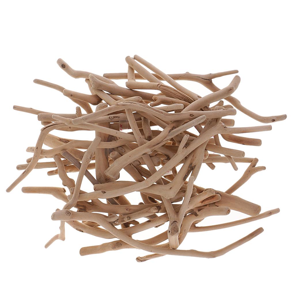 Natural Driftwood Branches