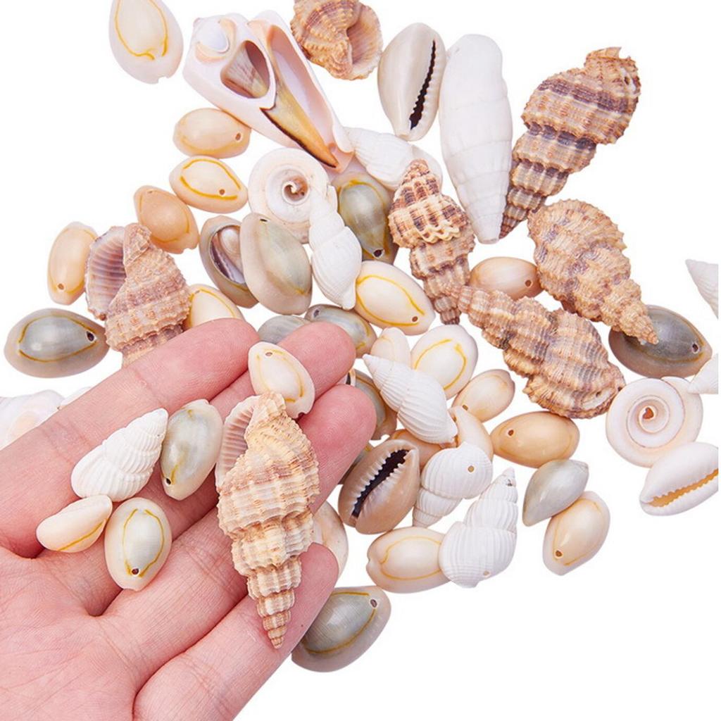 Natural Seashell Beads Conch Charms Beads for Jewelry Making Accessories