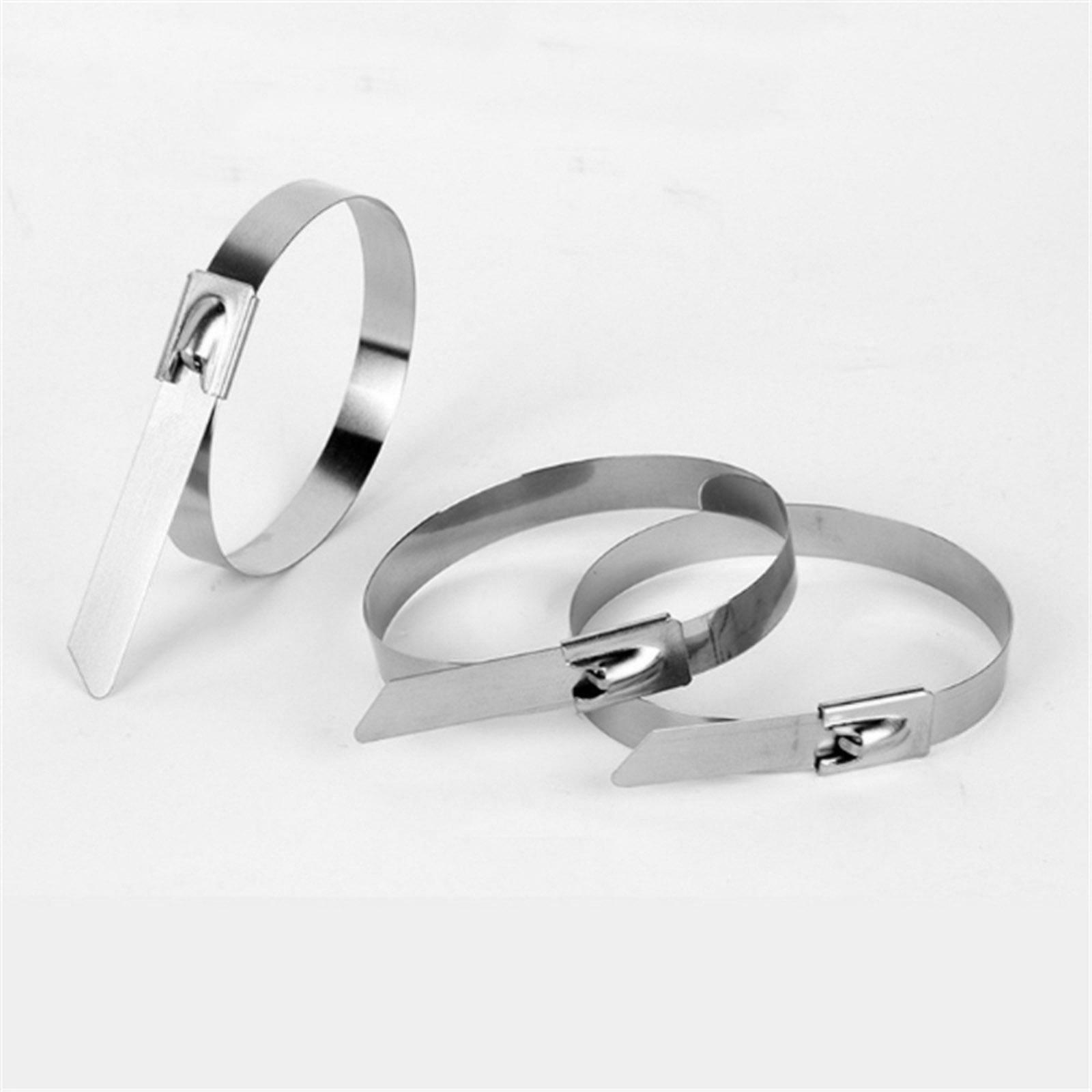 100xMulti-purpose Stainless Steel Cable Ties Self Locking Zip Ties 4.6x250mm