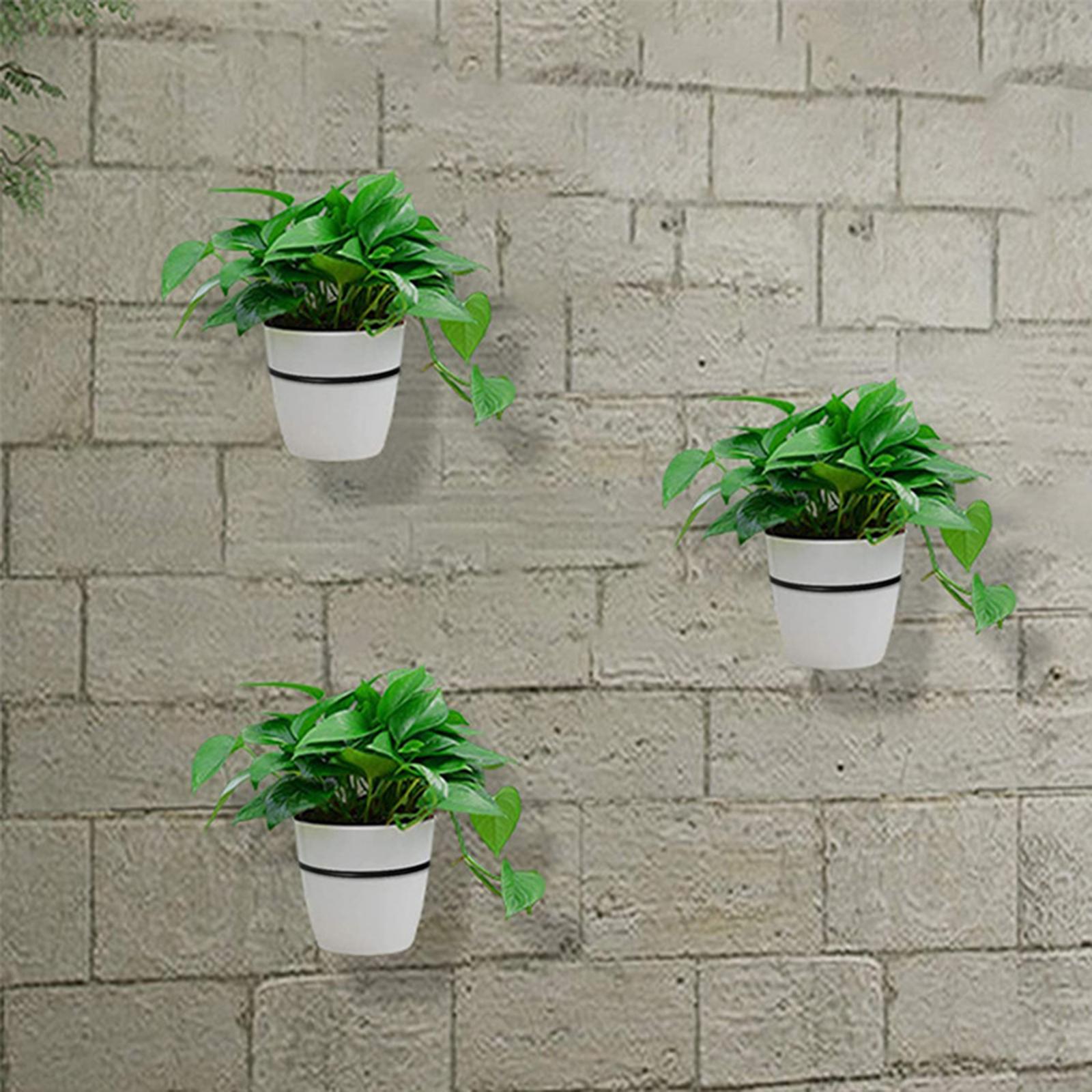 Wall Mount Flower Pot Holder Rings Iron Metal Pot Rings Holder  Medium