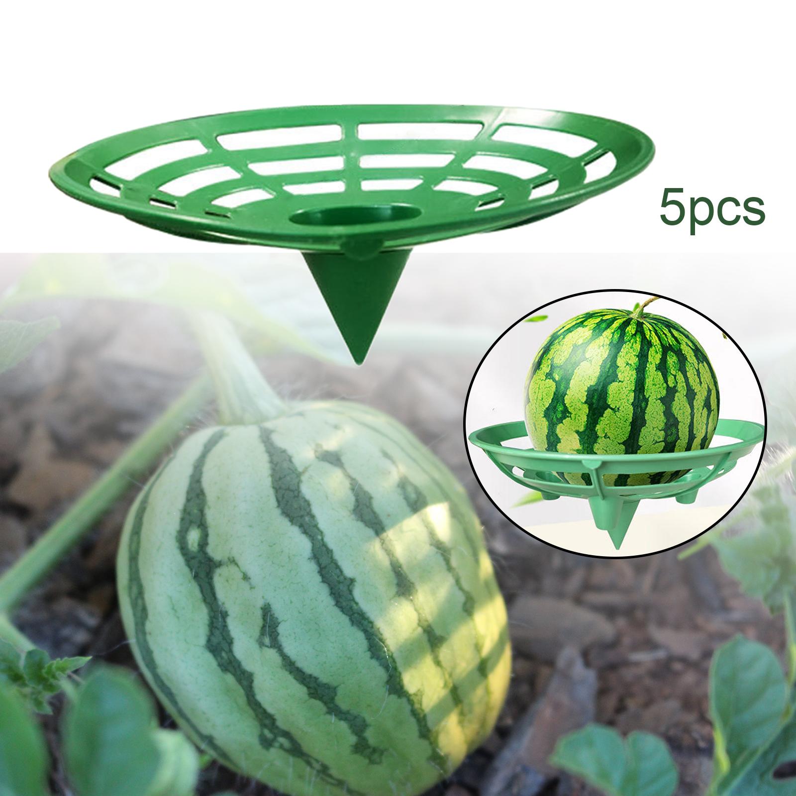 5Pcs Watermelon Stand Prevents Rotting Planter Cantaloupes Watermelon Cradle 20x16.5x9cm A