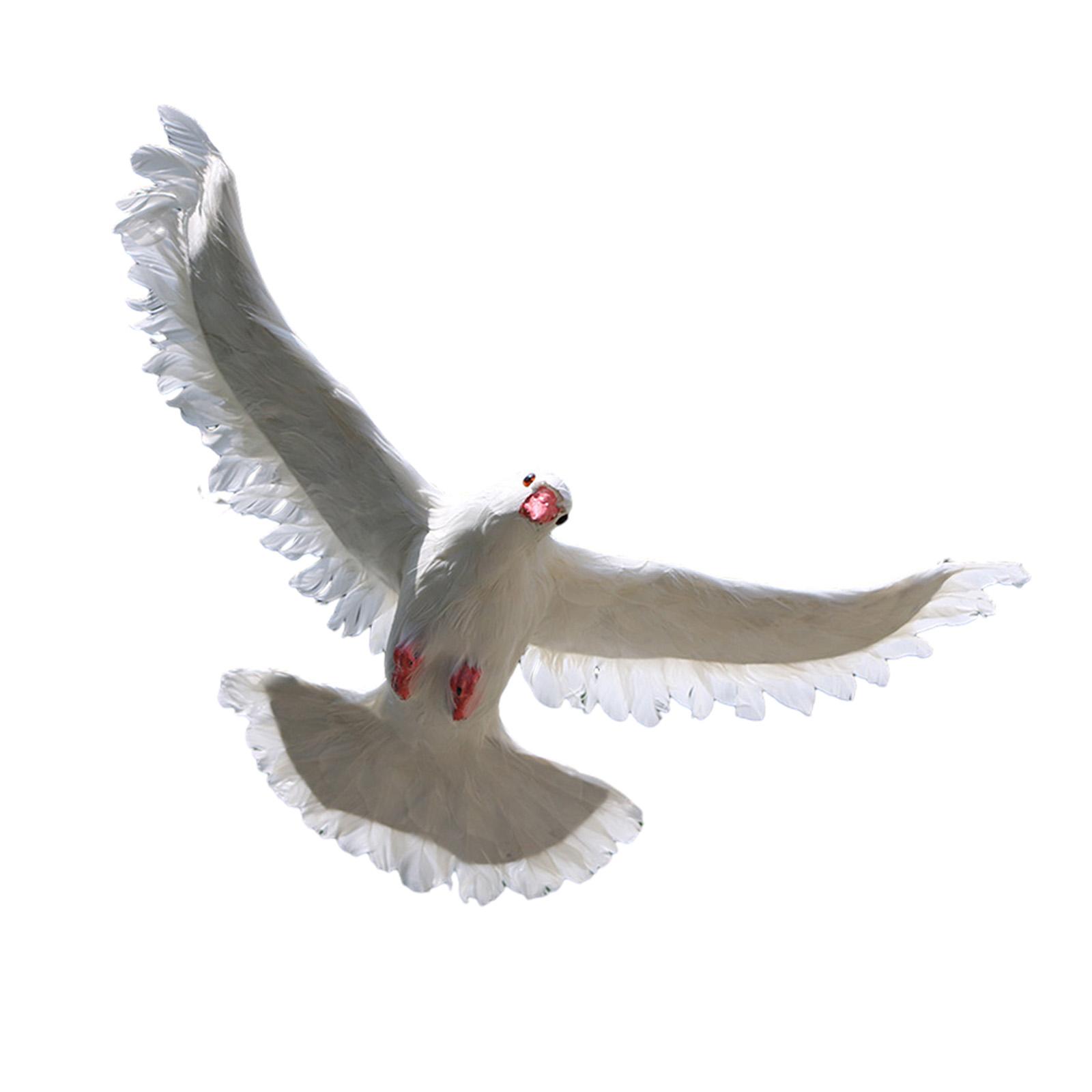 Pigeon Statue White