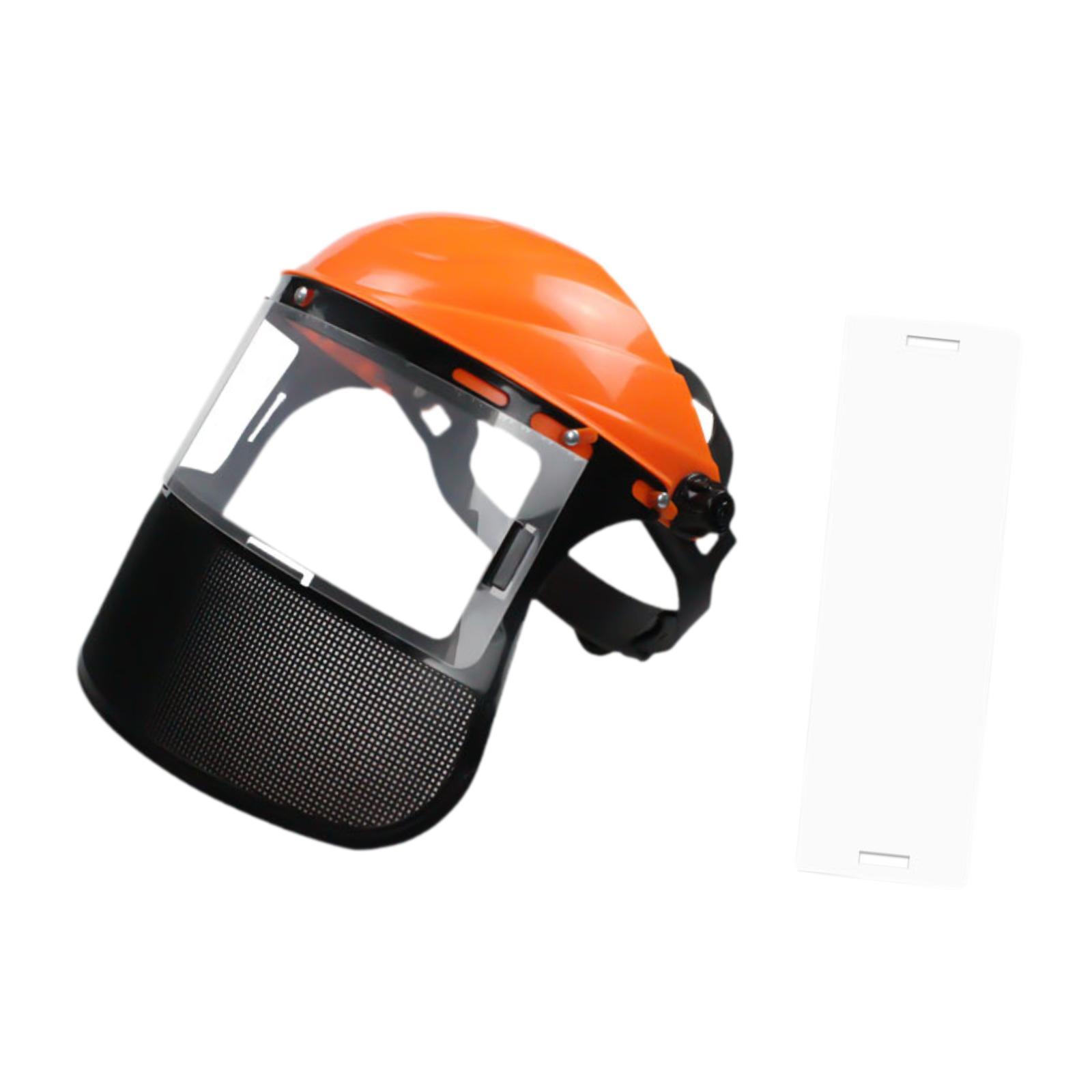 Full Face Protector Mask