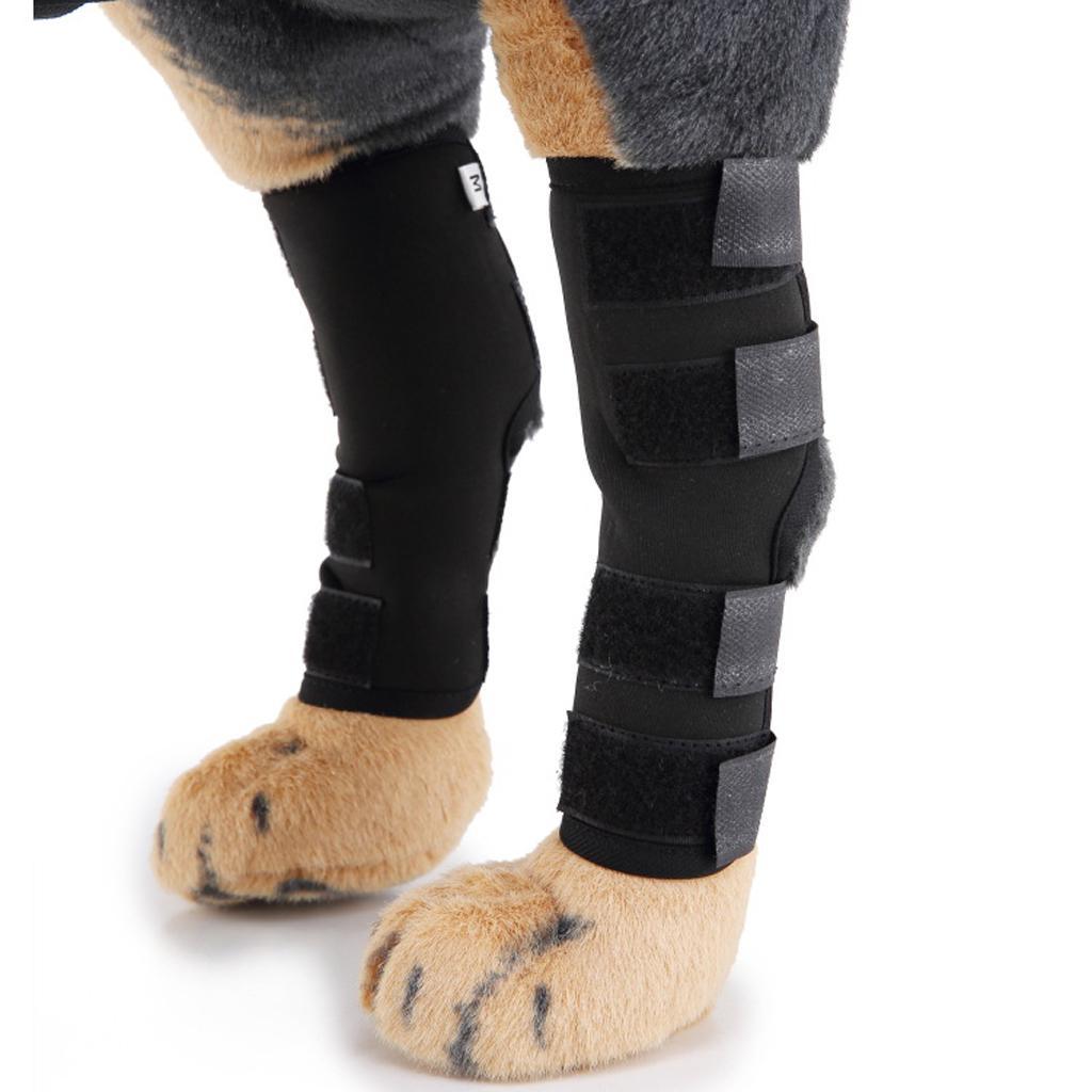 Hund hinten Bein Bandage Knieschutz mit 4 verstellbaren Klettverschluss