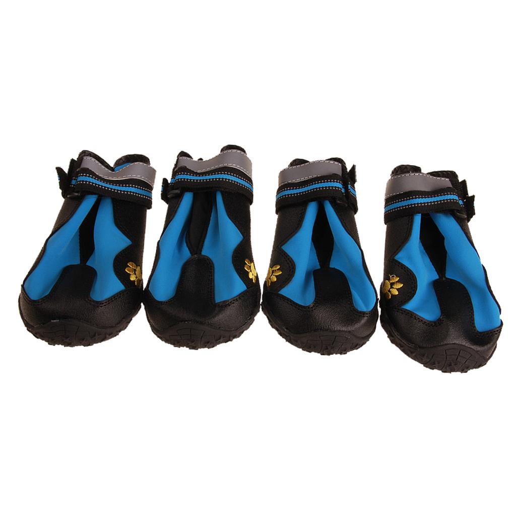 slip on shoes for dog walking