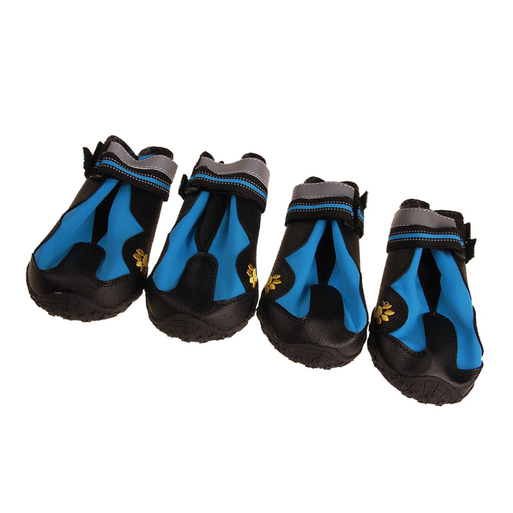 slip on shoes for dog walking