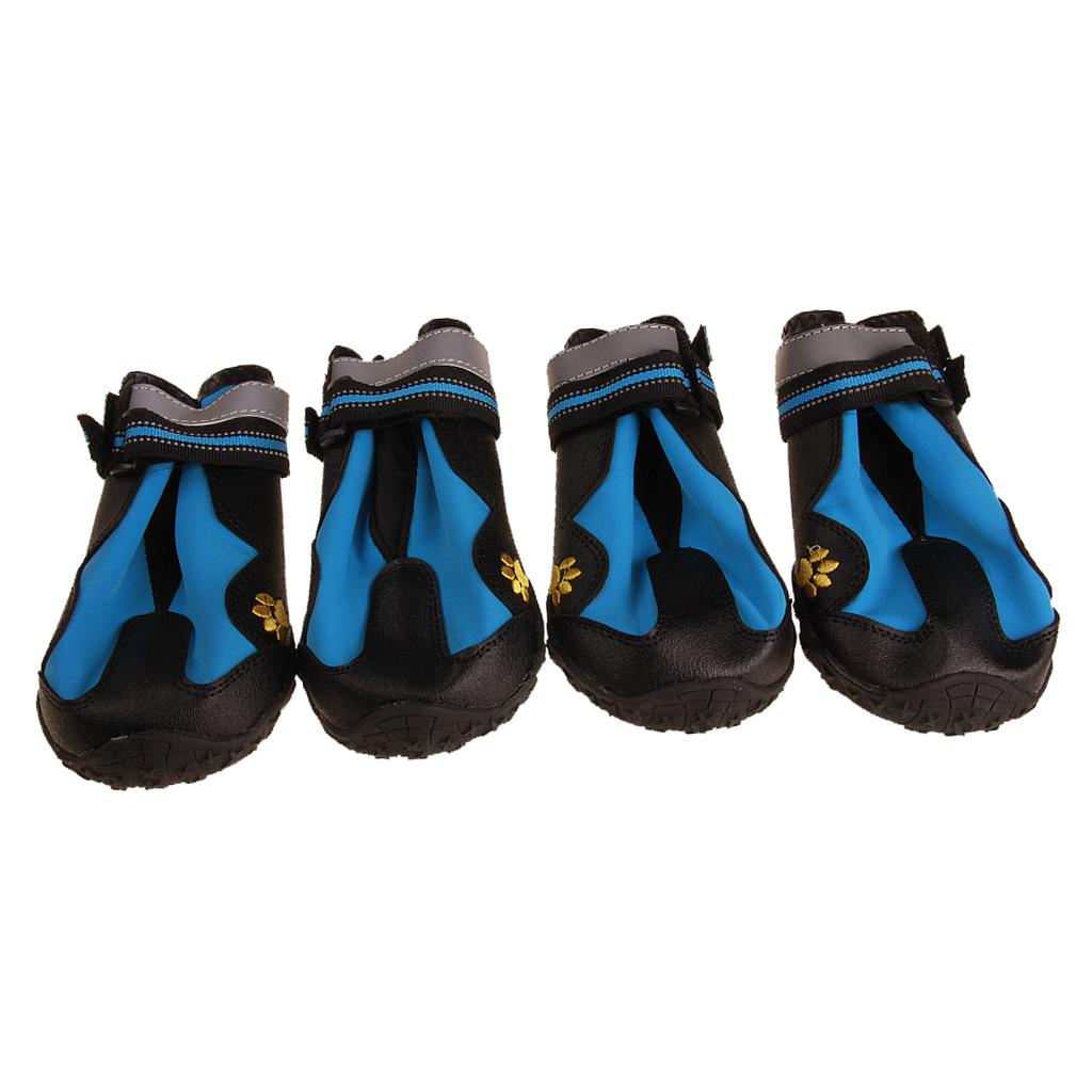 stylish dog walking boots