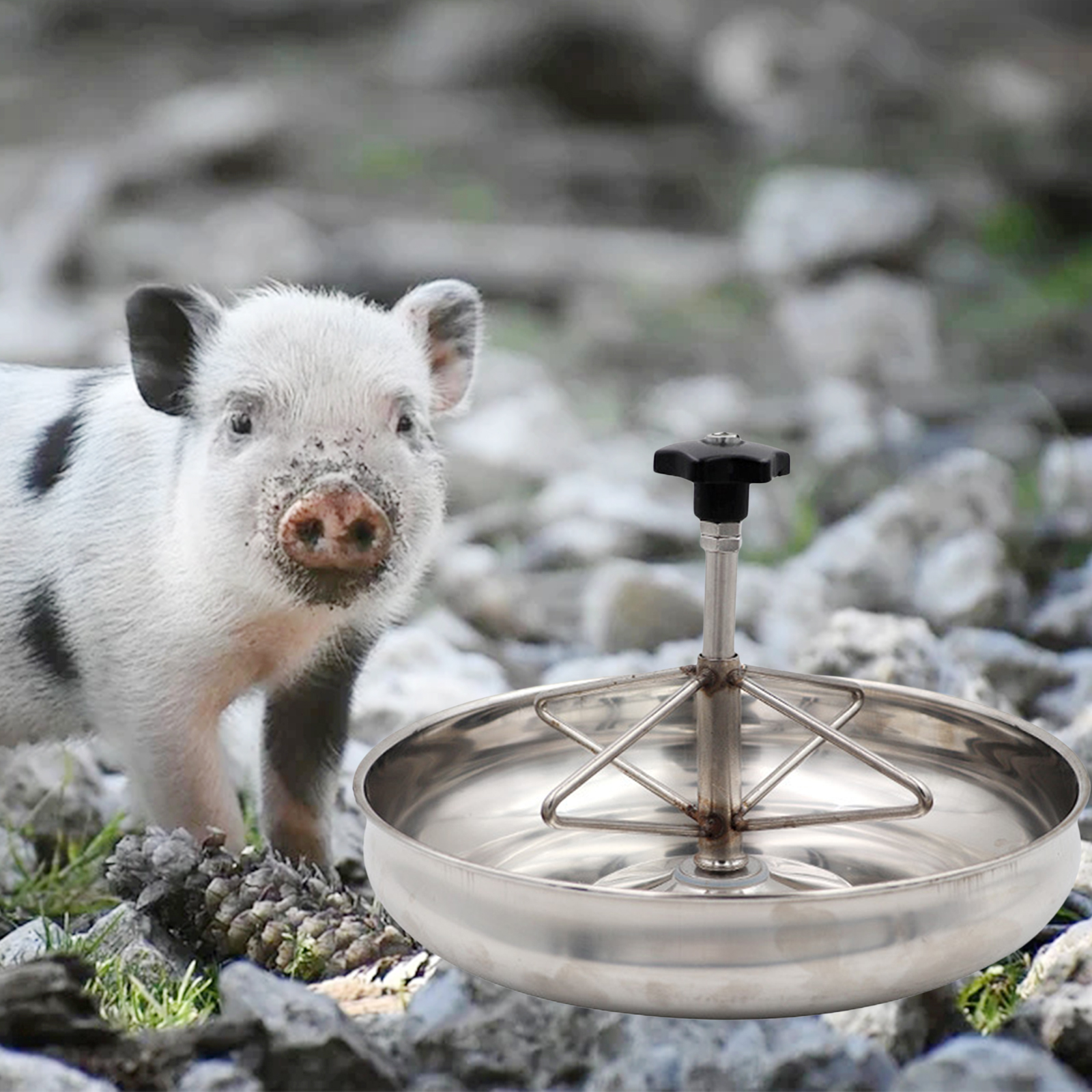 Piglet Feeder Trough Livestock Pig Feeding Fodder Slot Troughs Basin 25cm