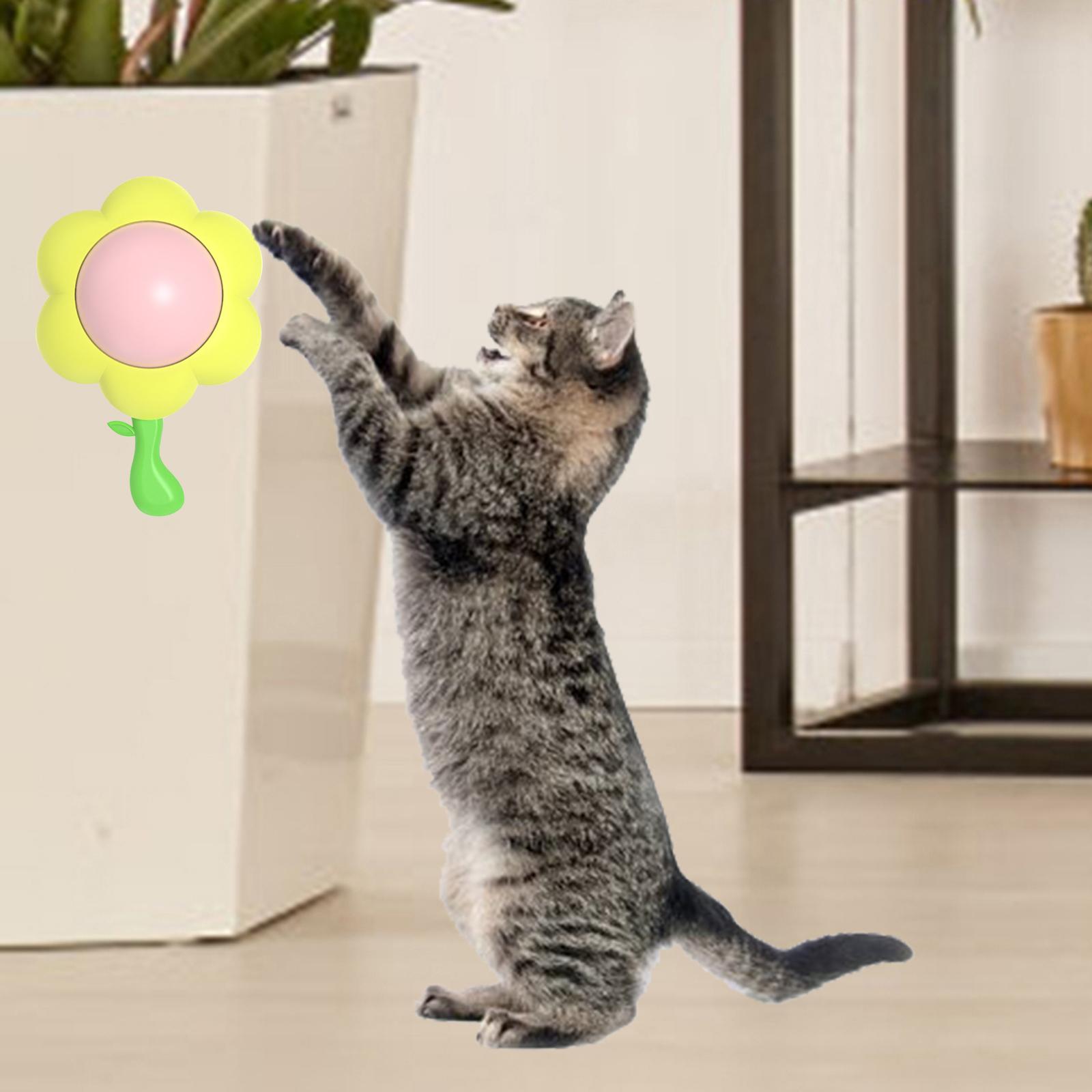 cat Snacks Catnip Cleaning Toy with Lid Solid Healthy Nutrition Yellow