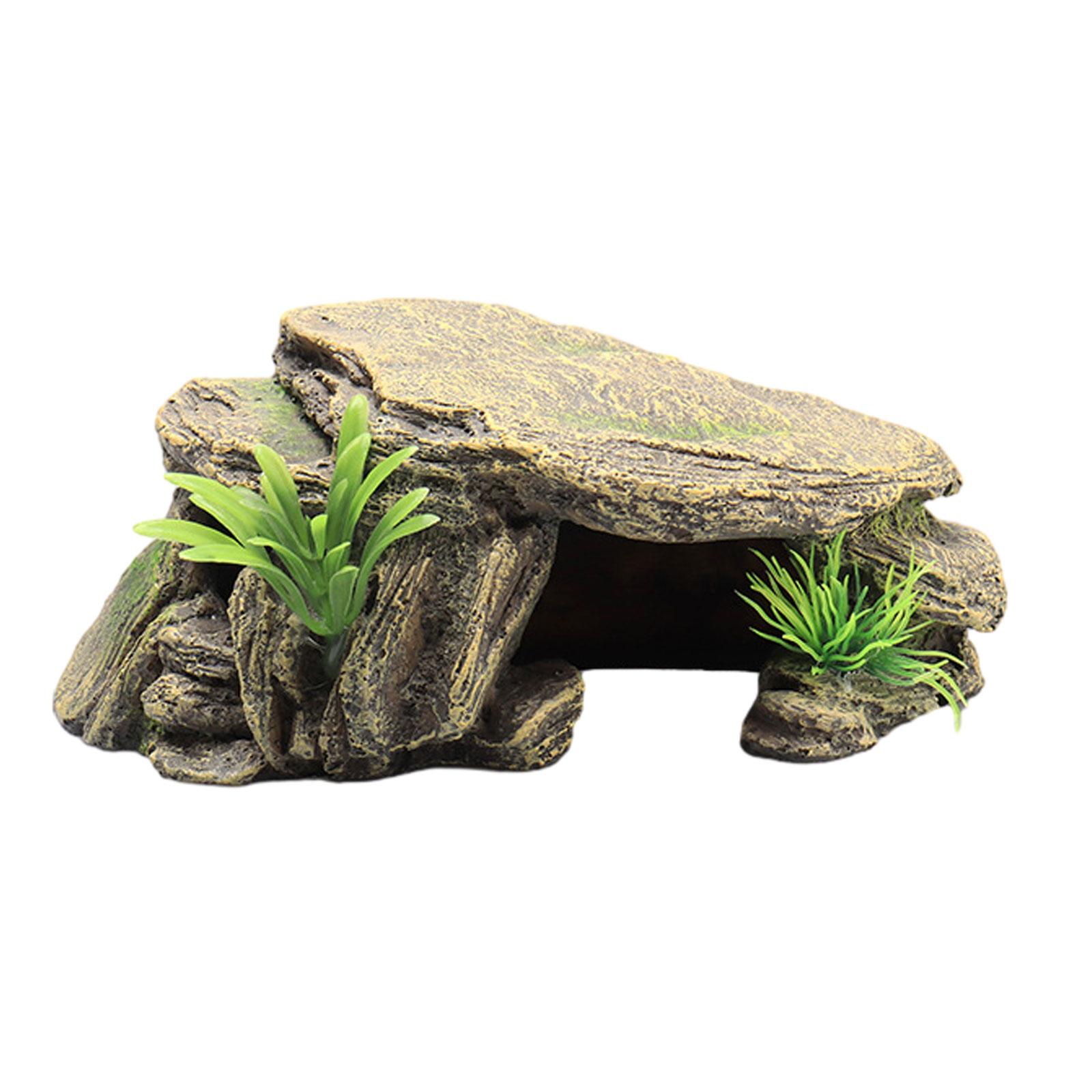 Turtle Tank Climbing Platform