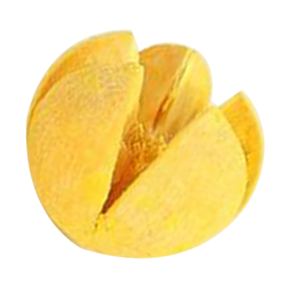 Natural Pinecones Pistachio Pine Cones Ornaments Gift Pistachio - Yellow