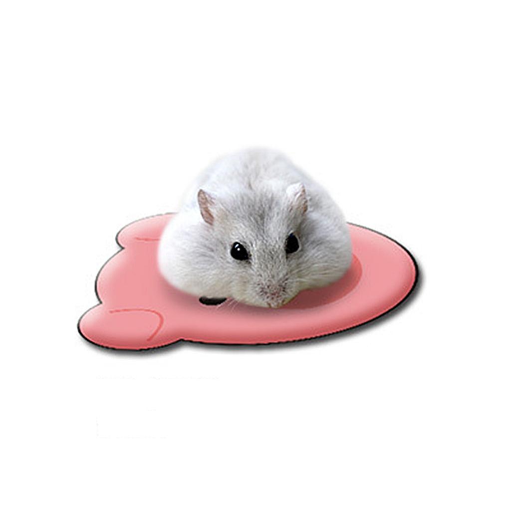 Summer Pet Mat for Hamster Ferret Cooling Bed Pig Pattern Relaxing Plate