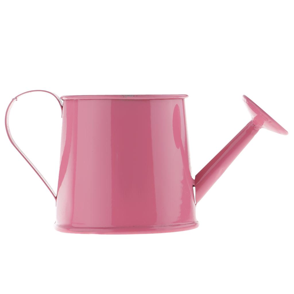 Pastoral Style Colorful Tin Flower Pot Mini Bonsai Watering Can Pot Pink