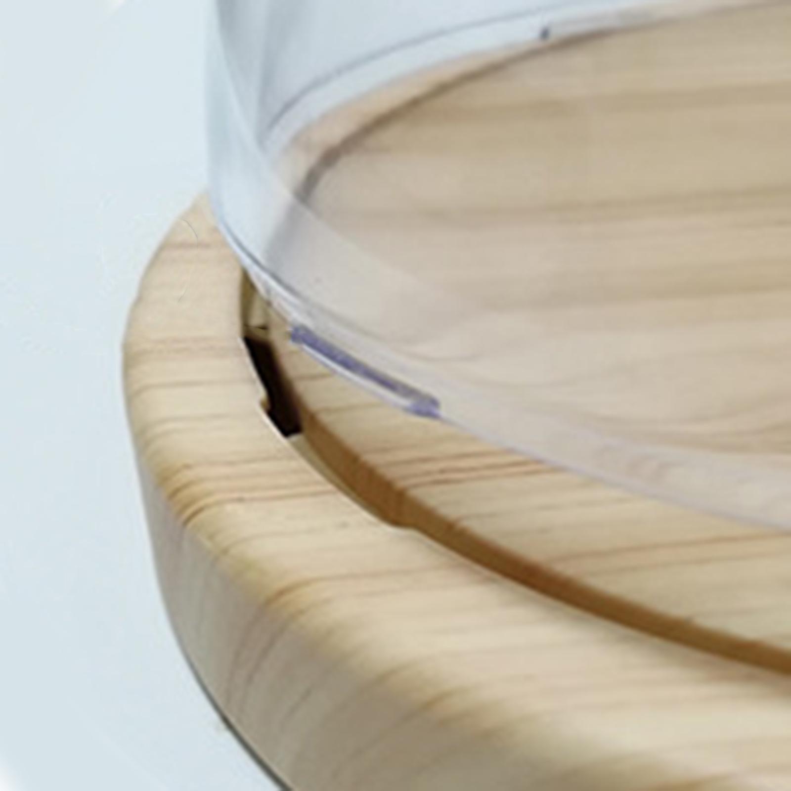 Dinosaur Night Light Handmade DIY Materials Ornament for Desktop Living Room