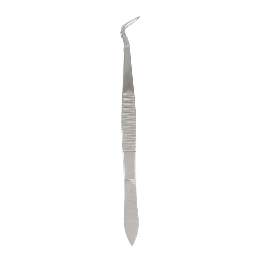 Dental  Instruments Tweezers Forceps Stainless Steel Curved Head