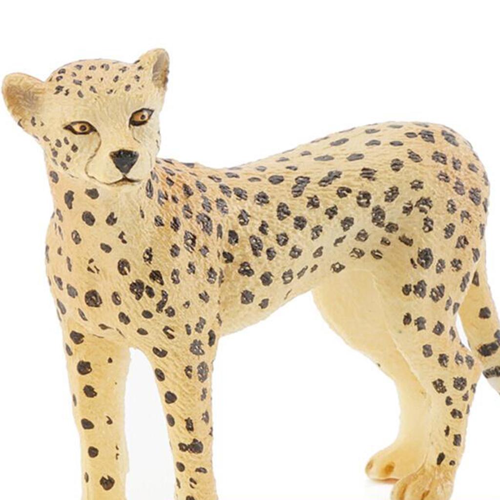 Stimulation Animal Figures Wild Animal Models Cheetah