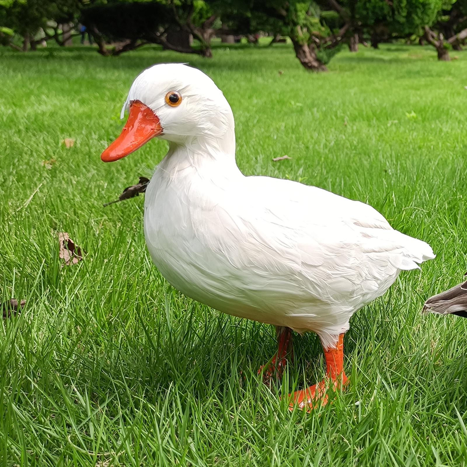 Simulation Garden Duck Statue Miniature Animal Figurines DIY Craft  White