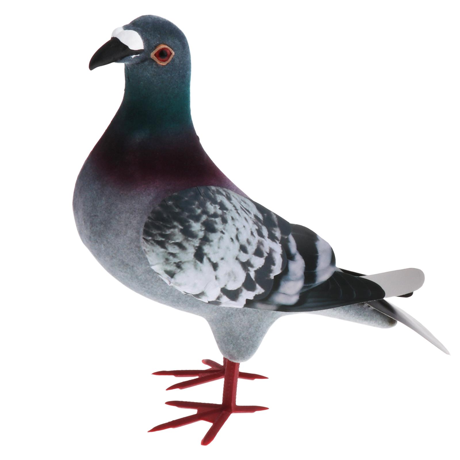 Foam Pigeon Model