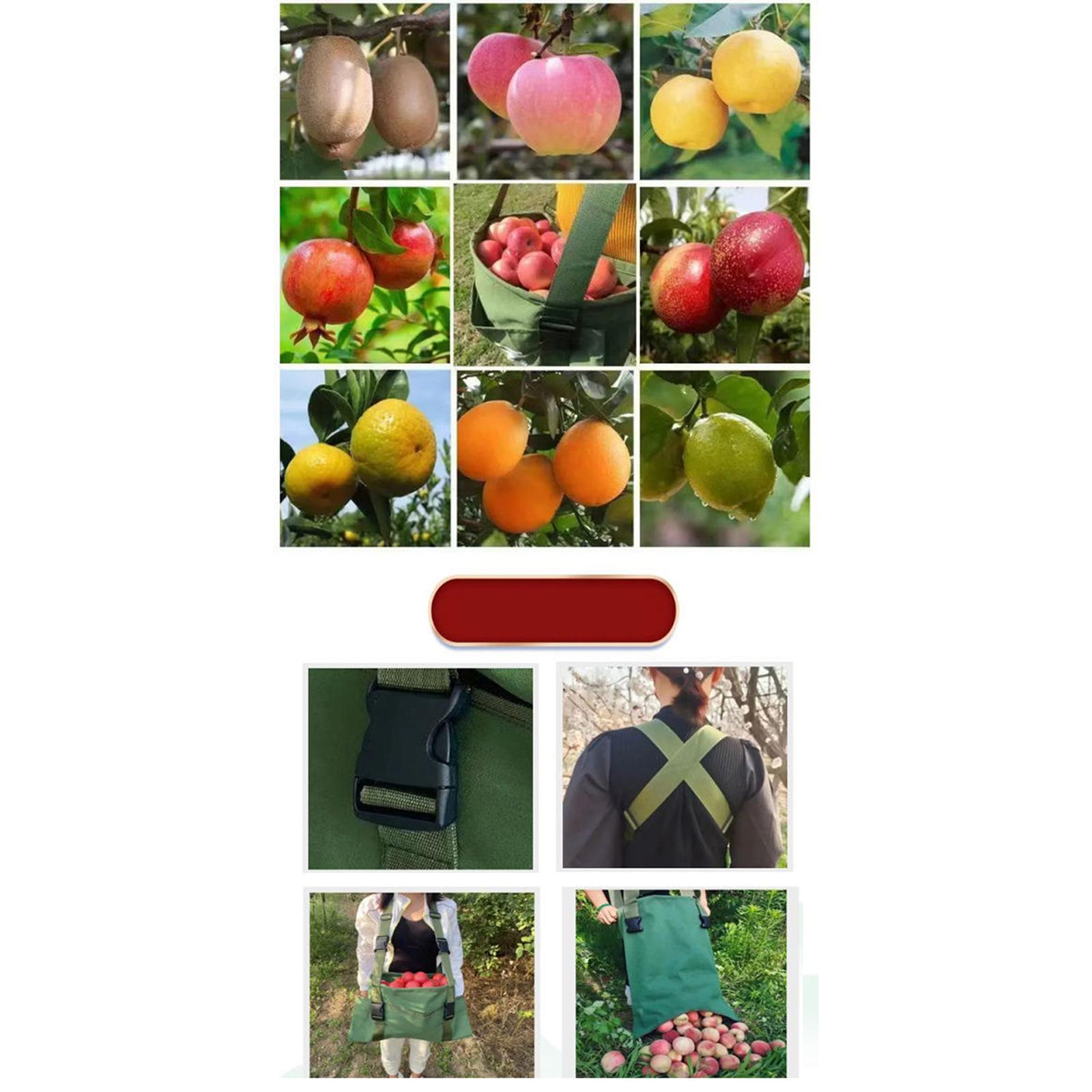 Large Fruit Picking Bag Reusable Picking Basket for Garden Camping