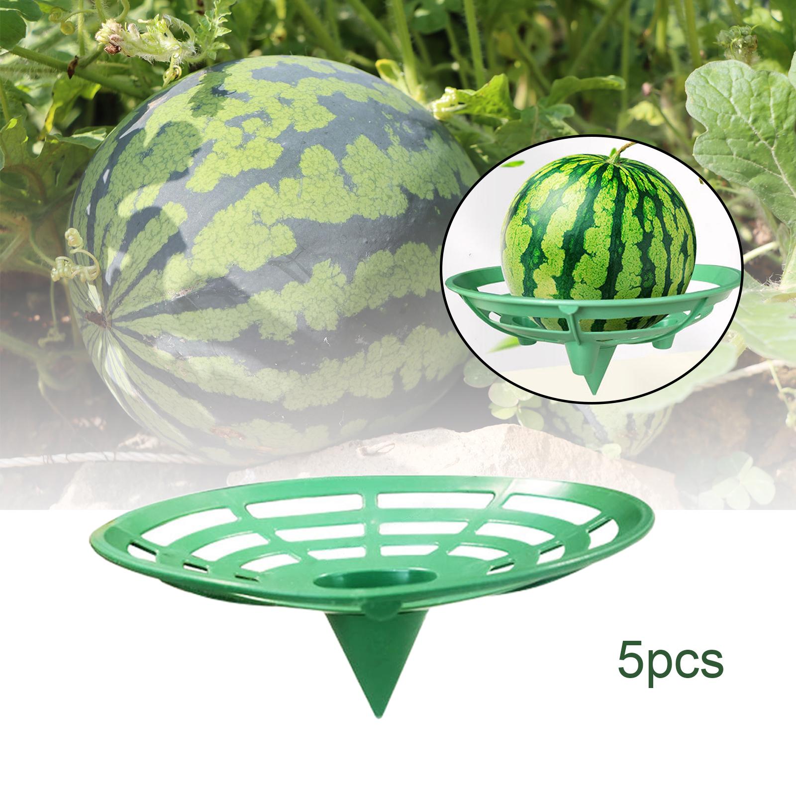 5Pcs Watermelon Stand Prevents Rotting Planter Cantaloupes Watermelon Cradle 20x16.5x9cm B