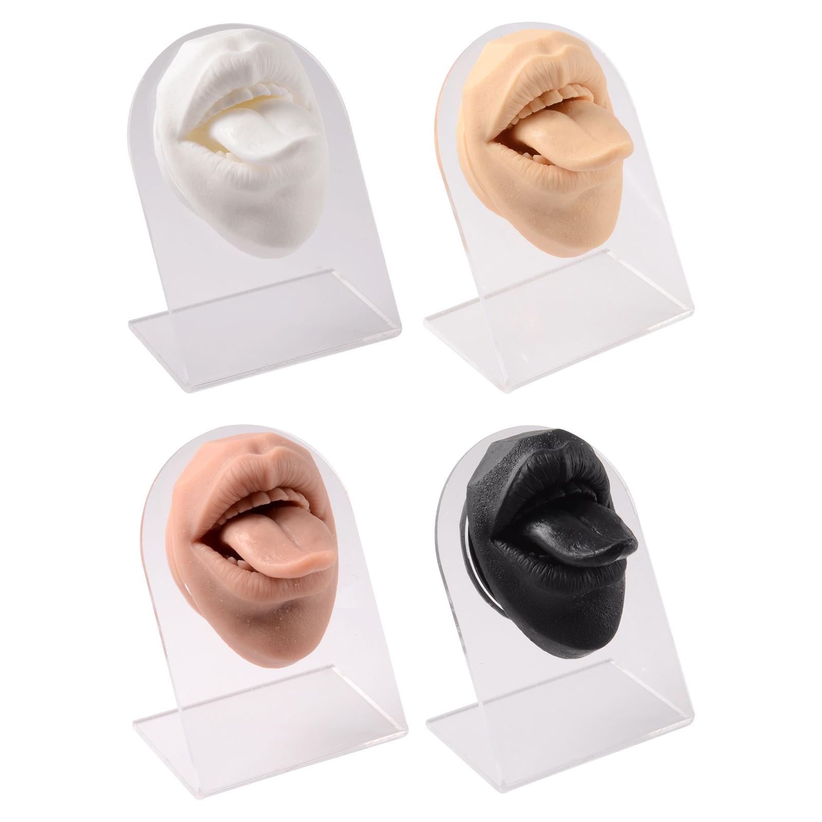 Silicone Mouth tongues Model Flexible Practice Tool Education Display White