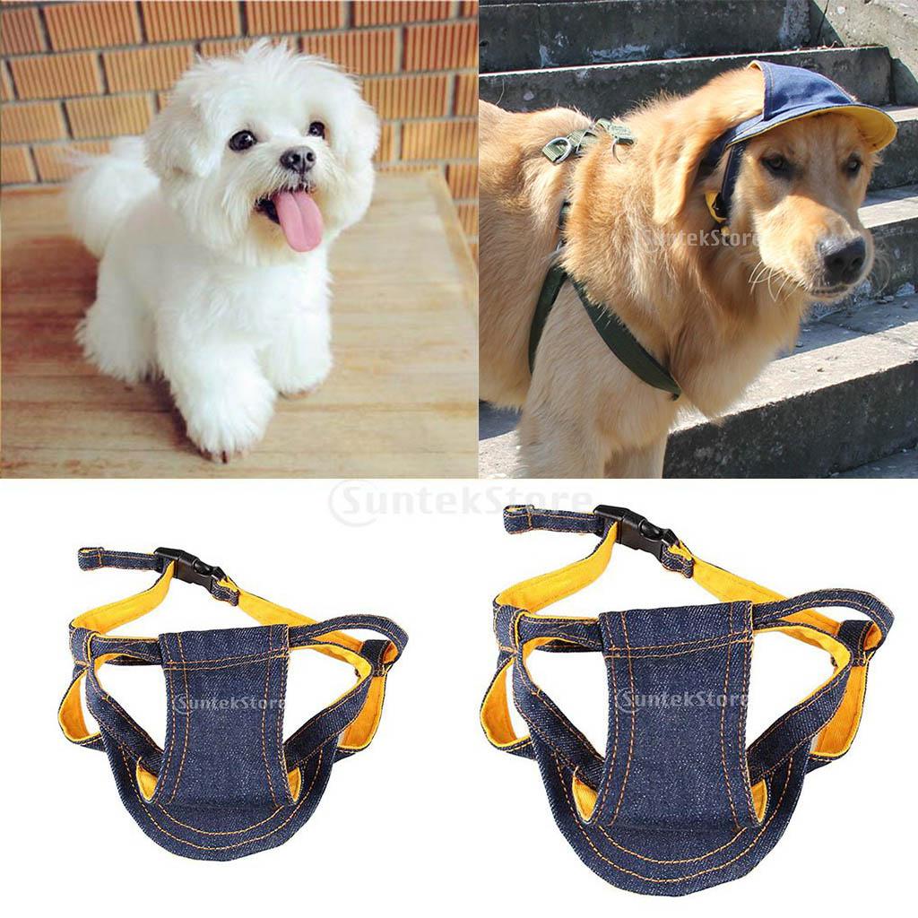 1x Haustier Kappe, Modische Hundehut für Hunde Welpe Katze Kater