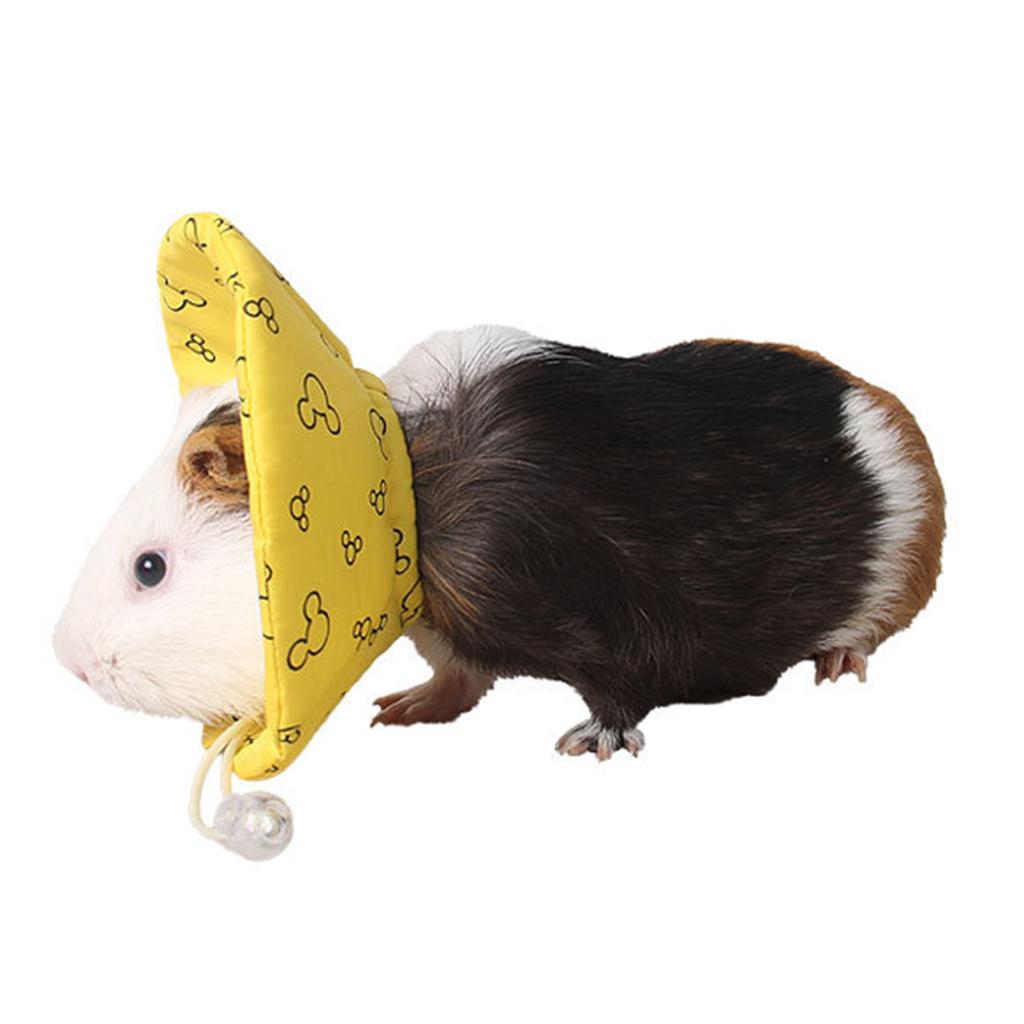 Coton Isabelle Chien Collier Pour Chat Chien Hamster Cochon D Inde Ebay