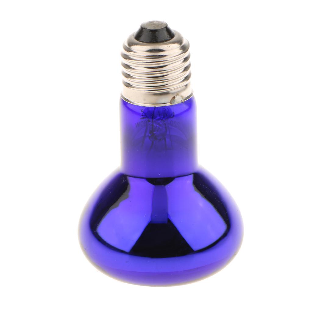 Lampe Uv Et Chauffante Pour Tortue Terrestre