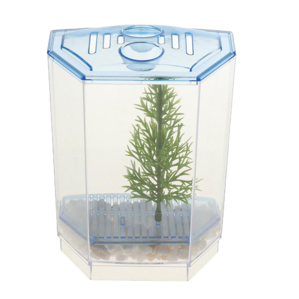 Details About Clear Mini Betta Fish Tank Small Mini Aquarium Supplies Decoration Bedroom