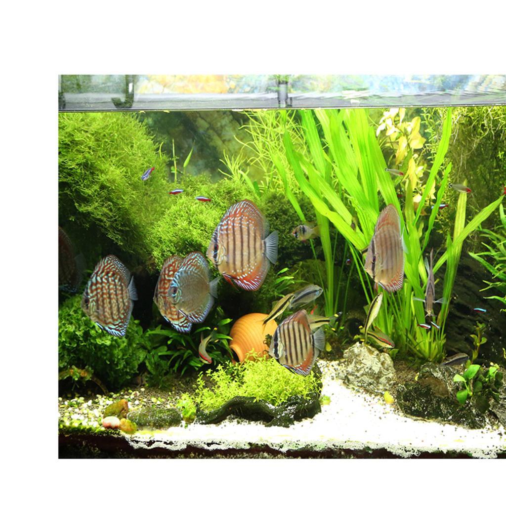 Aquarium Tank Background Poster PVC Adhesive Decor Green