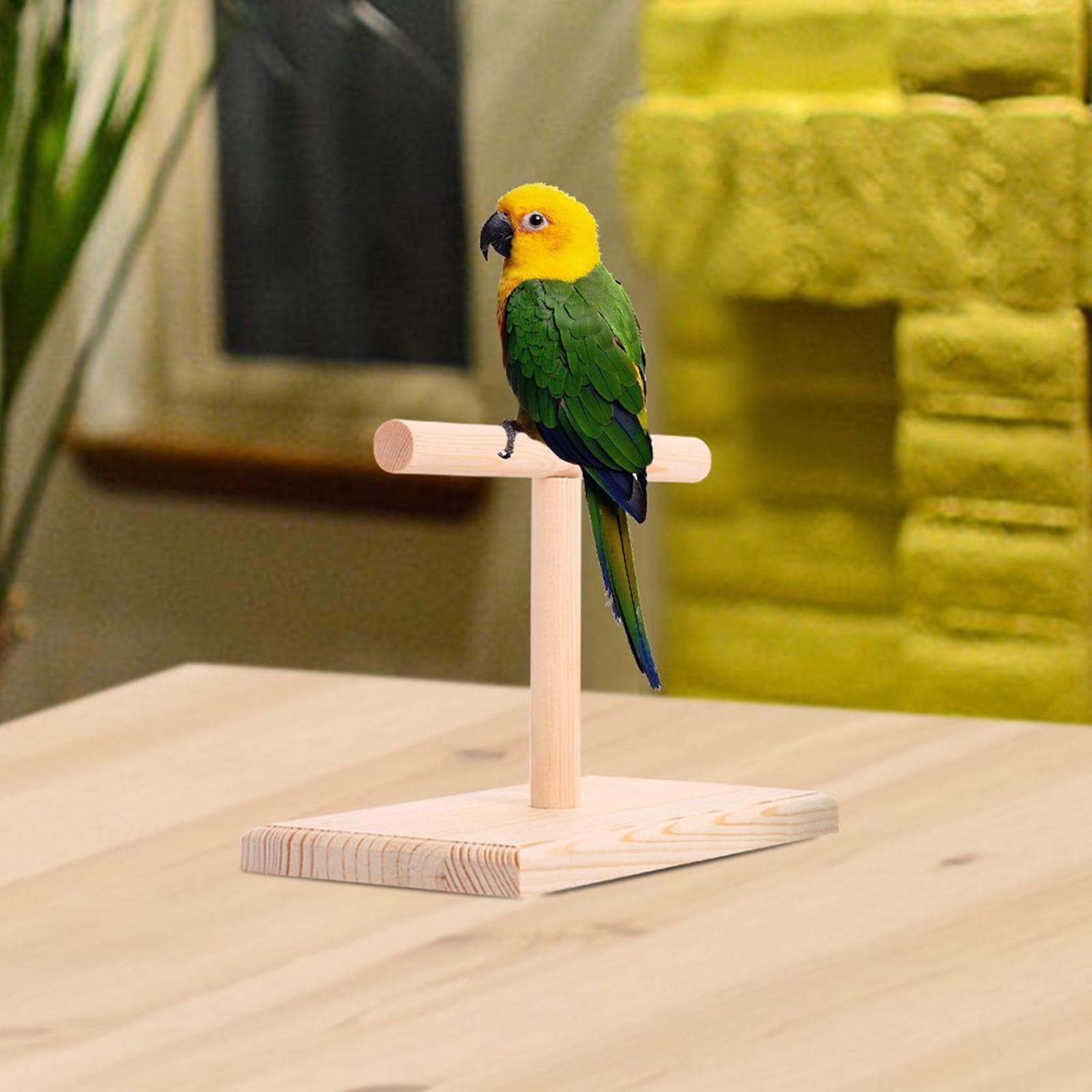 Stable Table Bird Perch Playstand T Stand Lovebirds Conures Playstand Swing