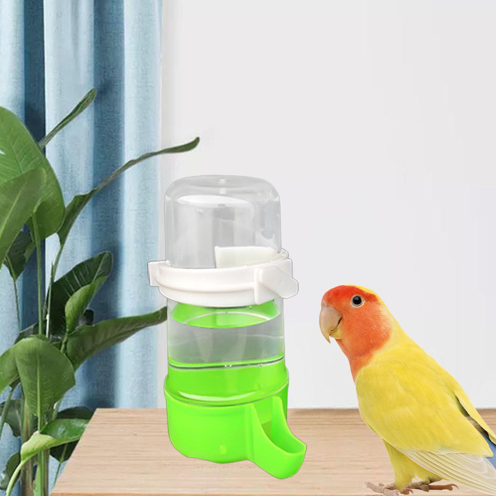 Automatic Bird Water Dispenser Water Bottle Birds Drinker Bird Water Fountain Green