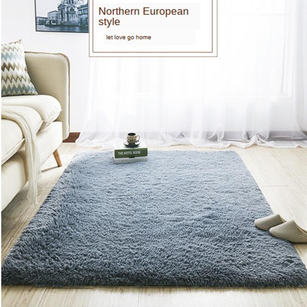 Area Rugs Carpet Living Room Bedroom Carpets 70x160cm