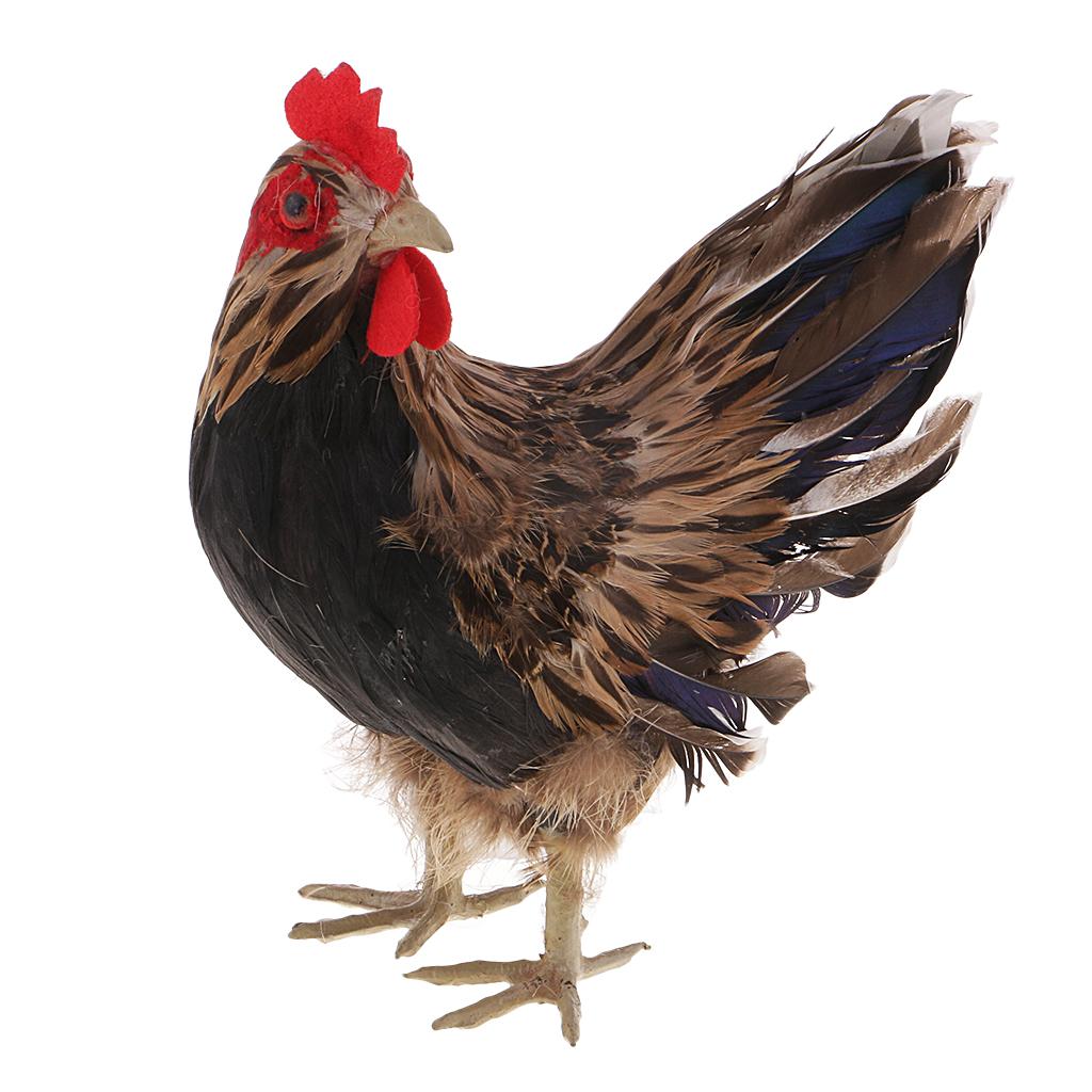 Hen Model Figure