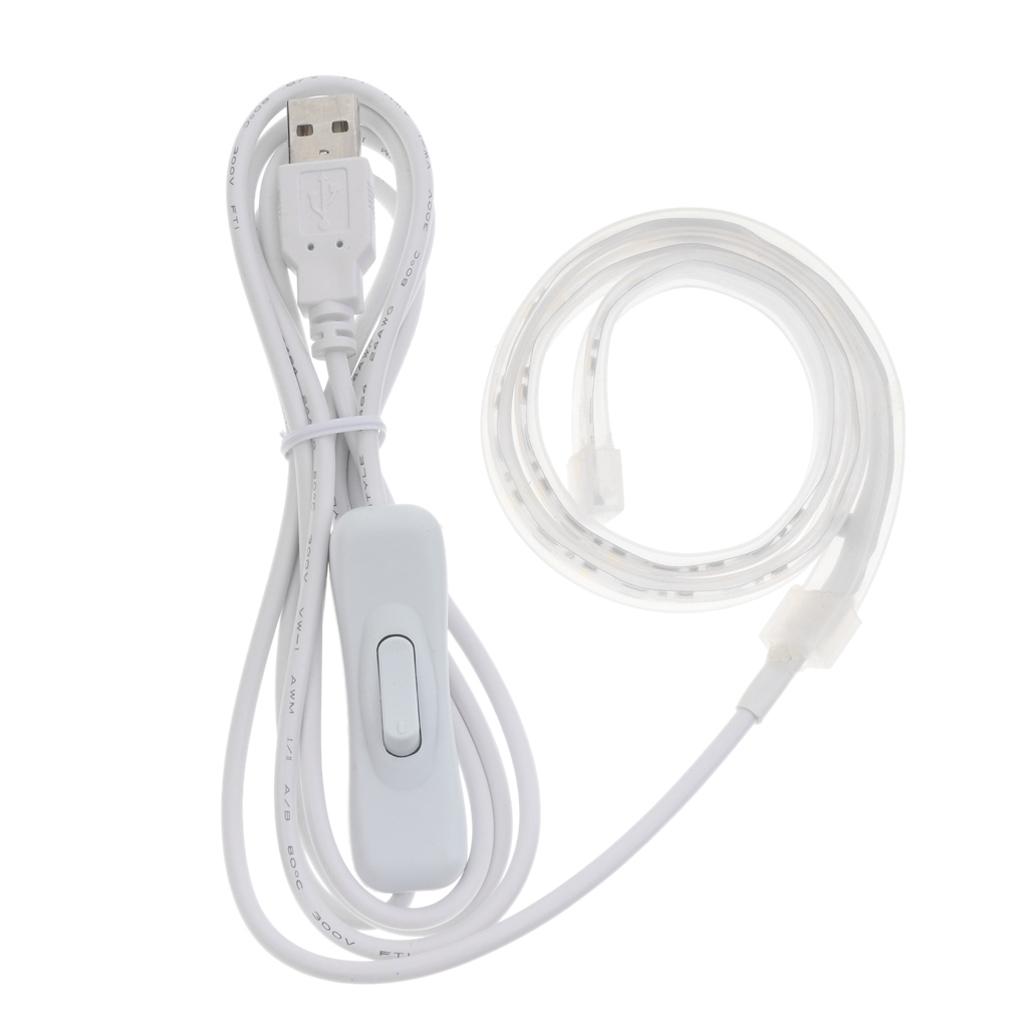 Leak Detection Light
