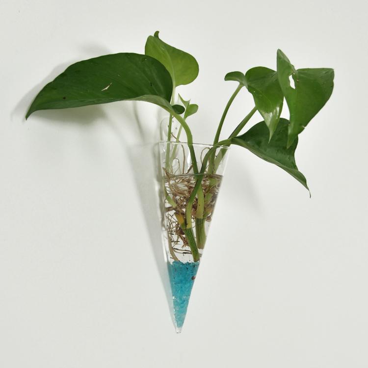Cone Glass Hanging Vase