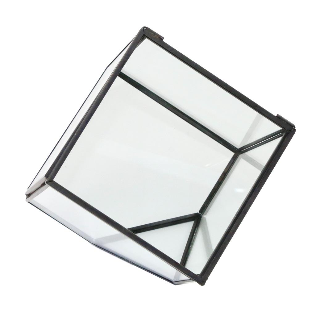 Glass Terrarium Container Geometric Succulent Planter  Cube