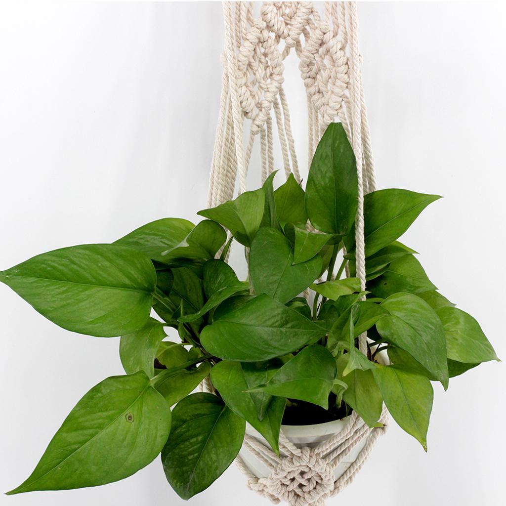 Wall Hanging Basket Garden Flower Plant Planter Pot Box Holder Hanger 135cm
