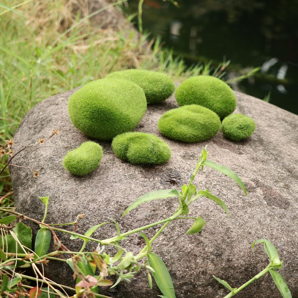 10Pcs Simulation Moss Balls Stone Garden Plant Vase Filler C