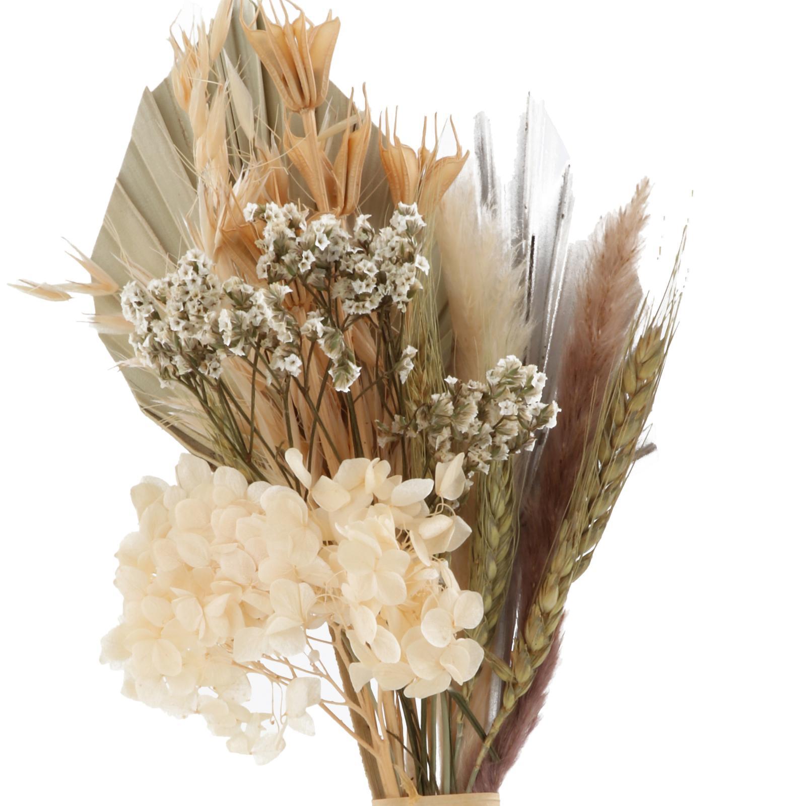 2 Pieces Palm Spear with Natural Dried Boho Decors