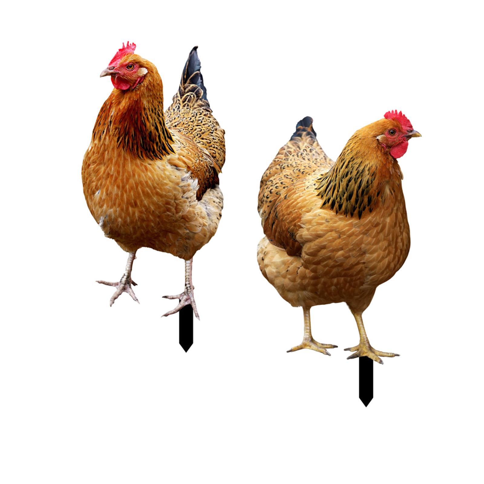 Hen Statue Garden Stakes
