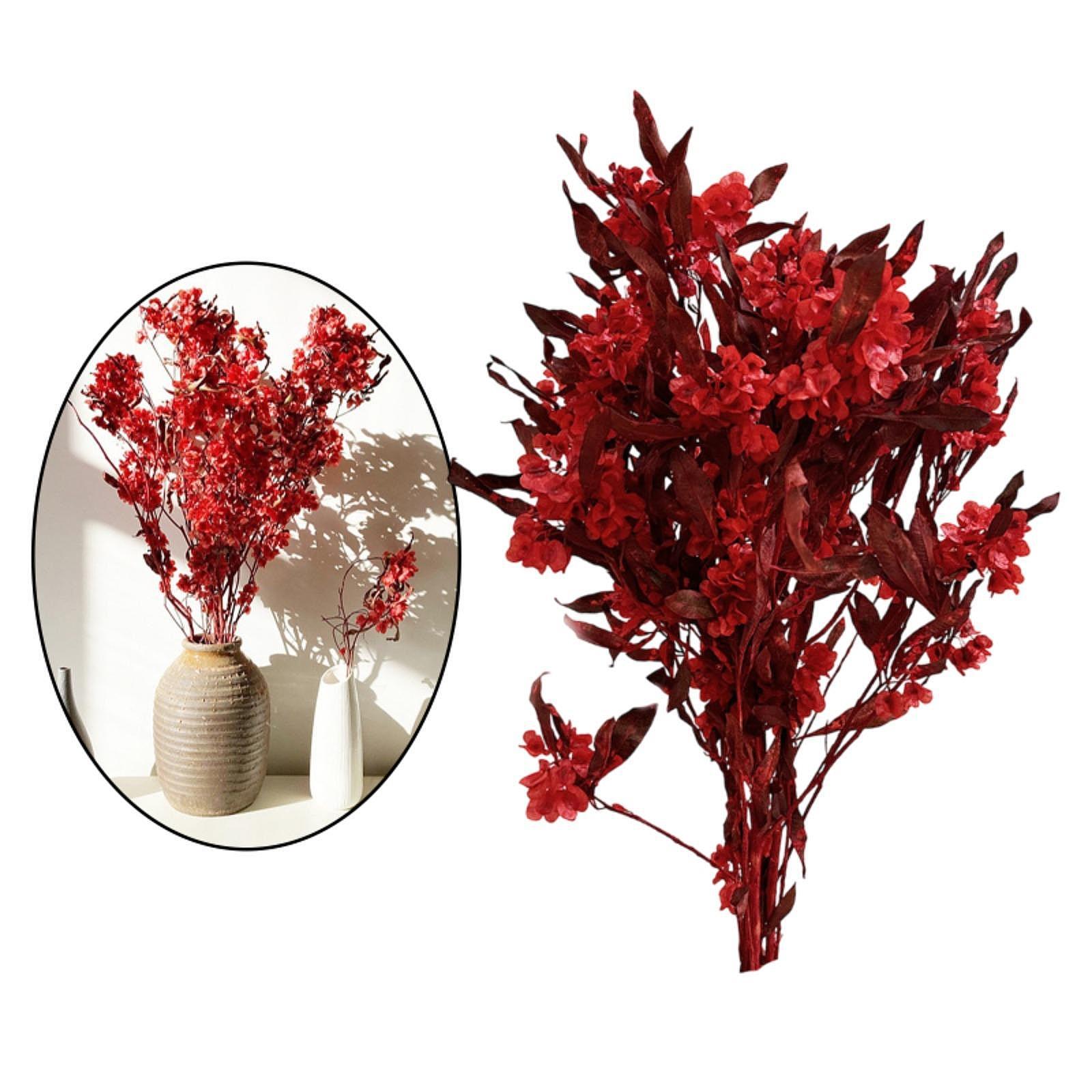 Dried Flower Bouquet Wedding Party Kitchen Plant Stem Bunch Dodonaea Viscosa Red