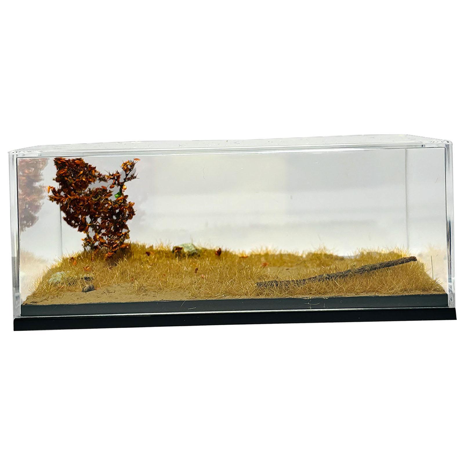 1/64 Model Car Display Case