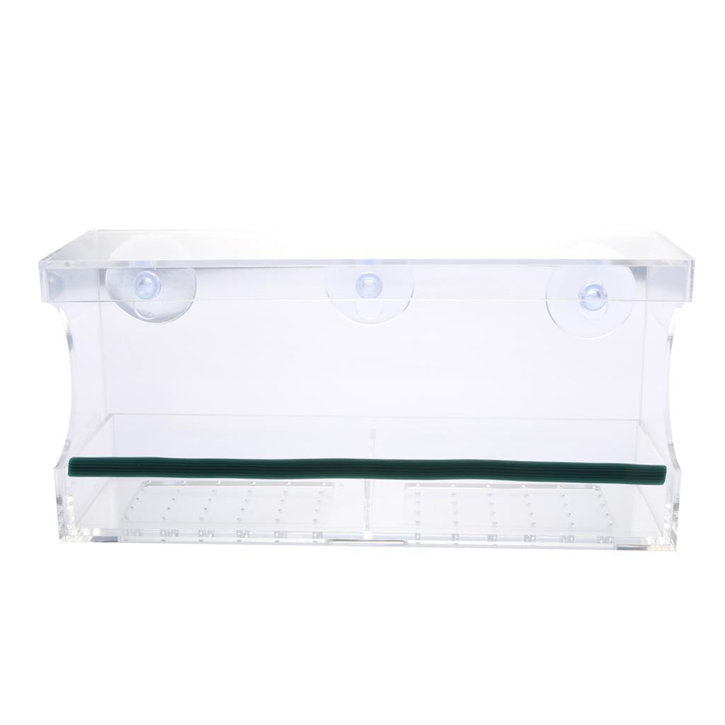 Clear Acrylic Window Bird Feeder Suction Cup Fit to Glass #4