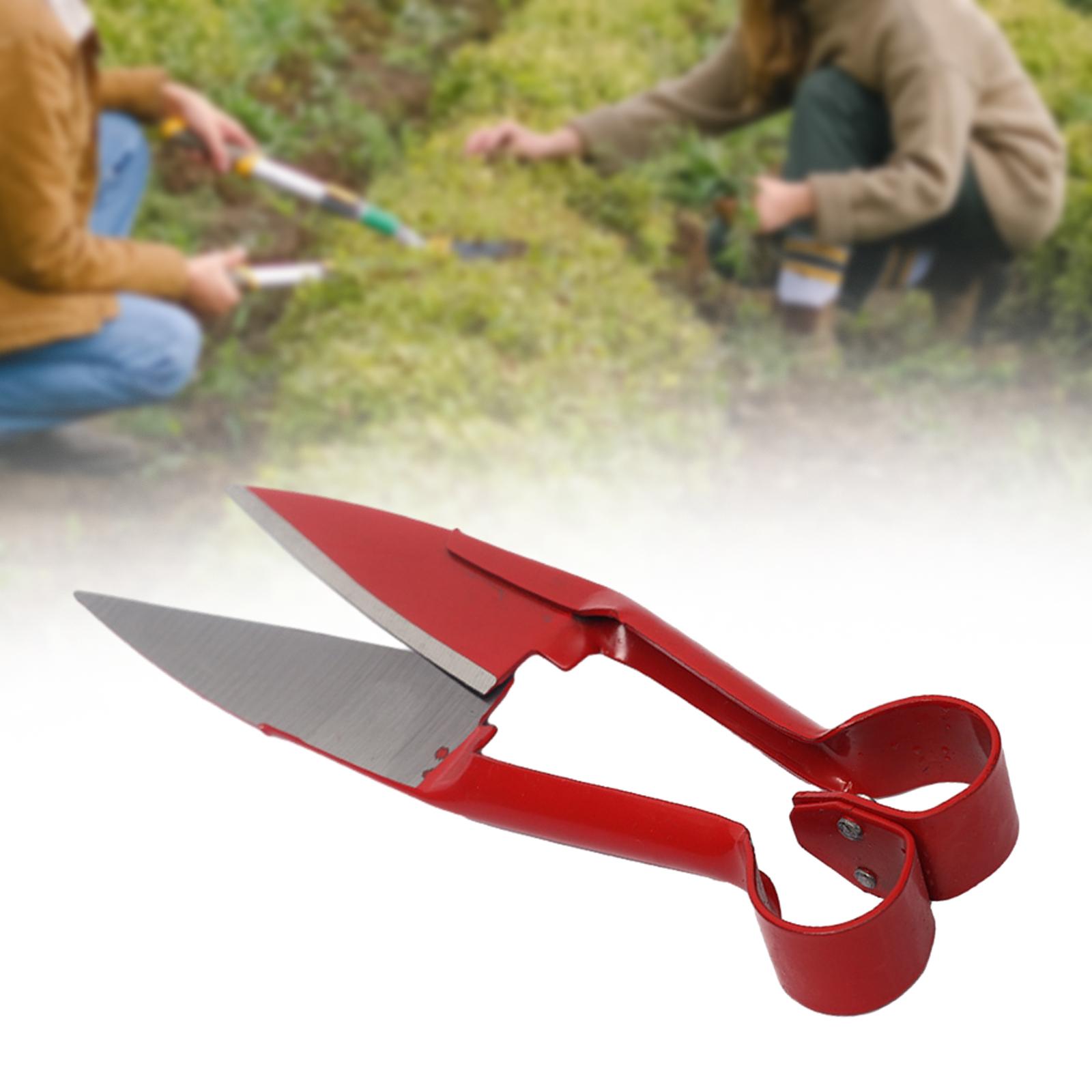 Pruning Shear Handheld Gardening Gadget Alpaca Shear for Orchard Garden Home